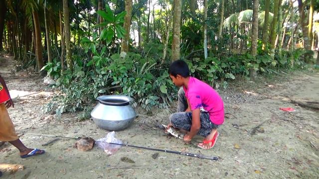 Best Live Fishing Video | Рыбалка Видео (Part-184) смотреть онлайн