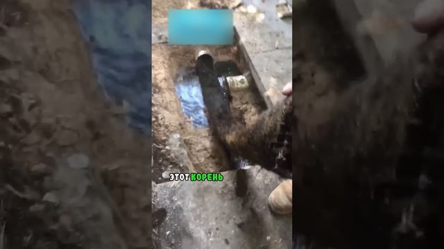 Произошло страшное, когда эти парни убирали это...😱 смотреть онлайн