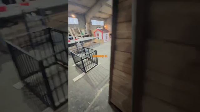 Хозблок, курятник, вольер, клетки и будка. Работа цеха в одном кадре смотреть онлайн