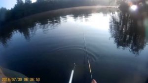 Немного магии или Jackall Mag Squad 115 SP, в июле