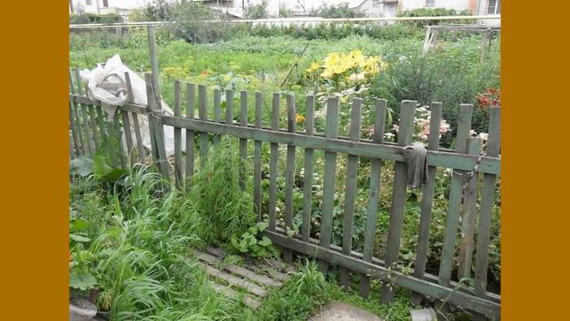 ГОЛОВОЛОМКА НАЙДИ КОТА НА КАРТИНКЕ смотреть онлайн