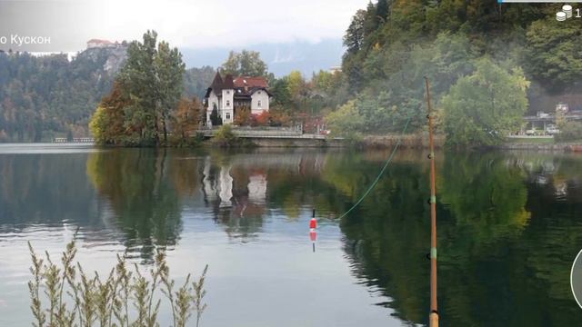 My fishing world. Трофейный жерех смотреть онлайн