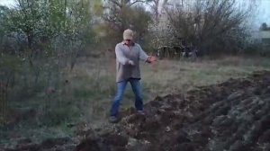 ВСПАШКА ЦЕЛИНЫ МОТОБЛОКОМ С ПЛУГОМ. ВТОРАЯ ПОПЫТКА
