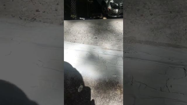 Tutorial: How To Repair RV Roof Leak- Rubber Flexx Seal Spray