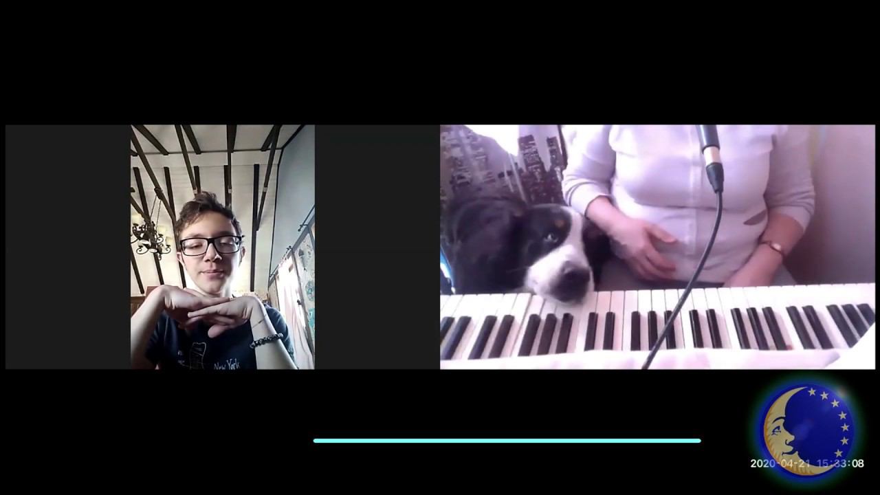 ОНЛАЙН - ВИДЕО УРОК. Студия "СЕЛЕНА". Поют и играют все. Да да и животные тоже!!! смотреть онлайн