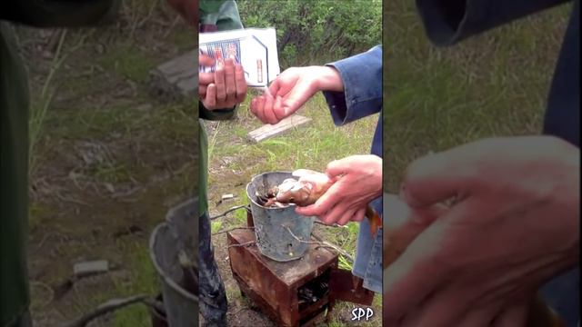 Самый вкусный копчёный окунь которого я ел.