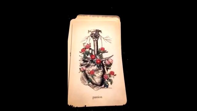 Oracle of Oddities ~ 3rd Edition Walkthrough смотреть онлайн