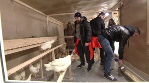 ДОМ-2 Город любви 3938 день Вечерний эфир (20.02.2015)