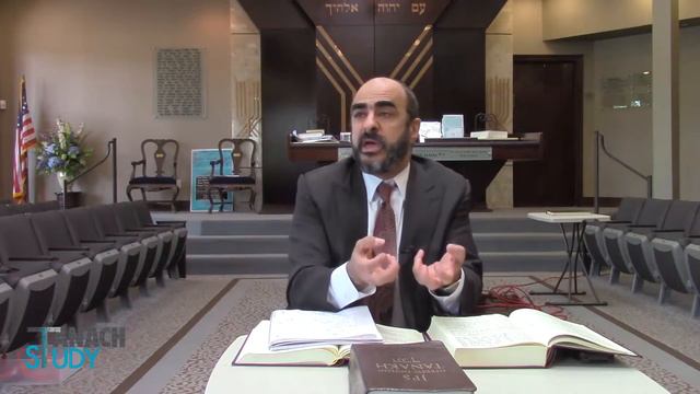 Rabbi Harold Sutton - Divine Providence vs. Man's Efforts Within Tehilim смотреть онлайн