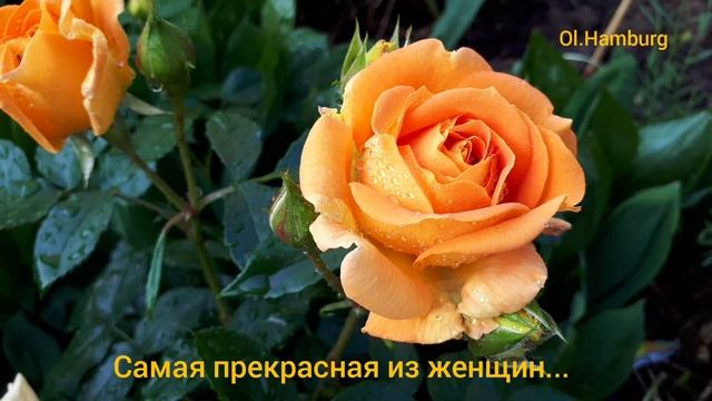 Самая прекрасная из женщин, женщина с ребёнком на руках.../Автор Сергей Островой/ смотреть онлайн