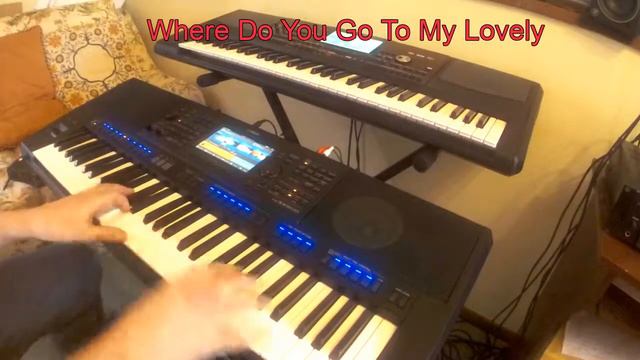 Where Do You Go To My Lovely смотреть онлайн