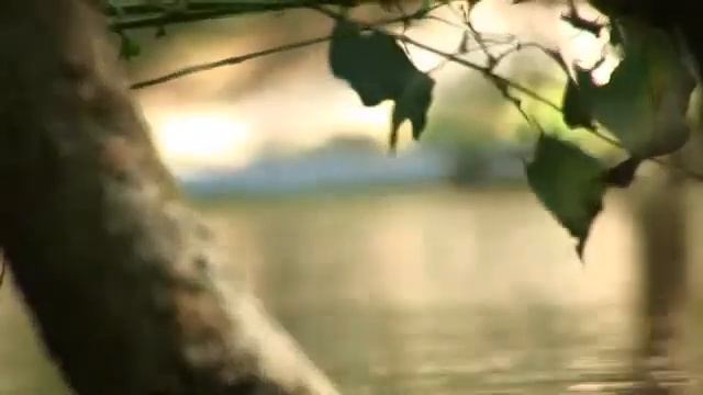 Йога для начинающих. Лучшие места для занятий йогой. (Николай Высочанский - Издательство Info-DVD) смотреть онлайн