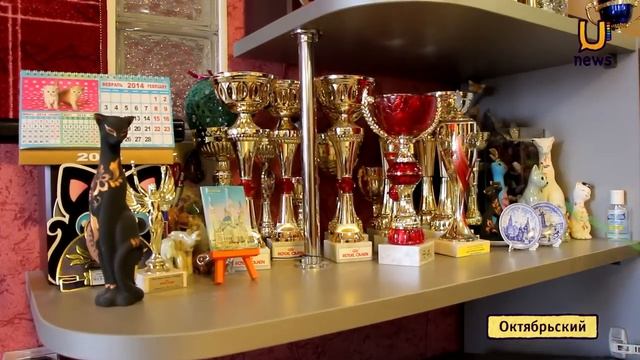 Уникальный кошачий питомник в Октябрьском смотреть онлайн
