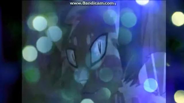 Коты Воители-Dead To Me смотреть онлайн