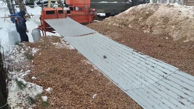Шишкодробилка - процесс переработки кедровой шишки зимой смотреть онлайн