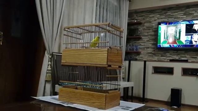 Прошлый год лимонный 10 месяцев смотреть онлайн