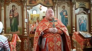 Проповедь протоиерея Ростислава о расслабленном в овчей купели, 7 мая 2017г