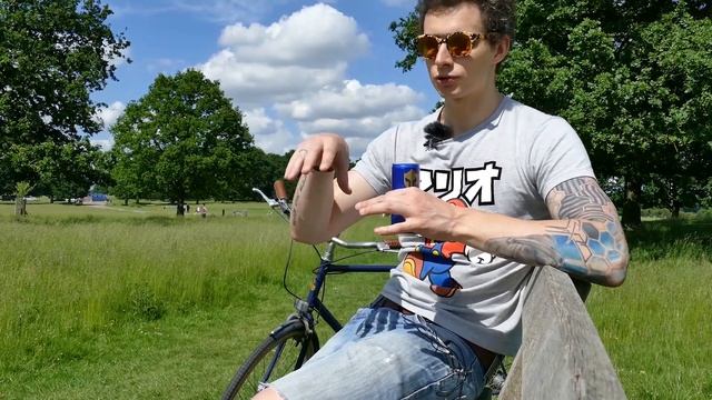 Парк с дикими оленями в Лондоне | Самый большой парк Лондона смотреть онлайн