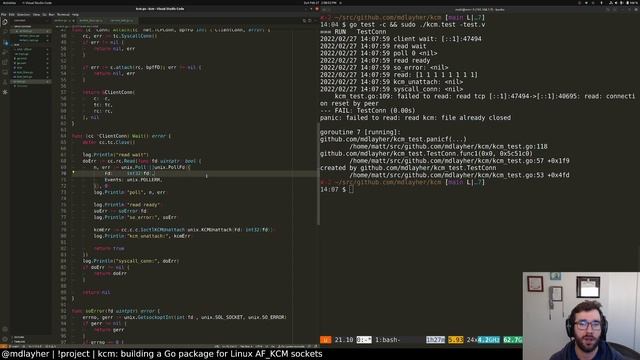 kcm: building a Go package for Linux AF_KCM sockets (February 27, 2022) смотреть онлайн