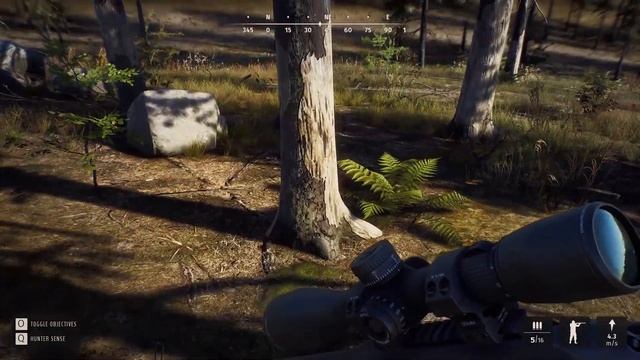 Way Of The Hunter - 5 Star Black Bear Hunt смотреть онлайн