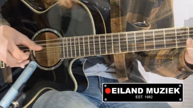 Ibanez AEG10NE смотреть онлайн