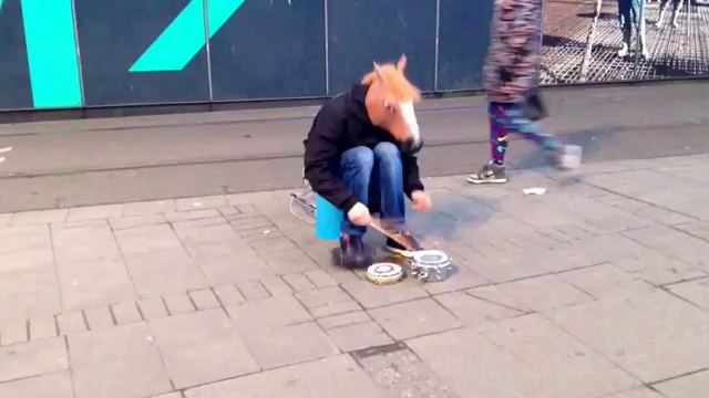 Лошадь играет на улице смотреть онлайн