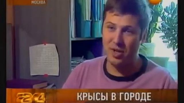 Крысы_в_квартире - как_избавиться? смотреть онлайн