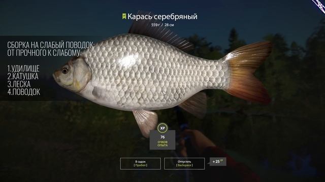 Гайд для новичков - Часть 2 Фидеры Донки Русская Рыбалка 4 смотреть онлайн