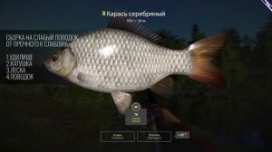 Гайд для новичков - Часть 2 Фидеры Донки Русская Рыбалка 4