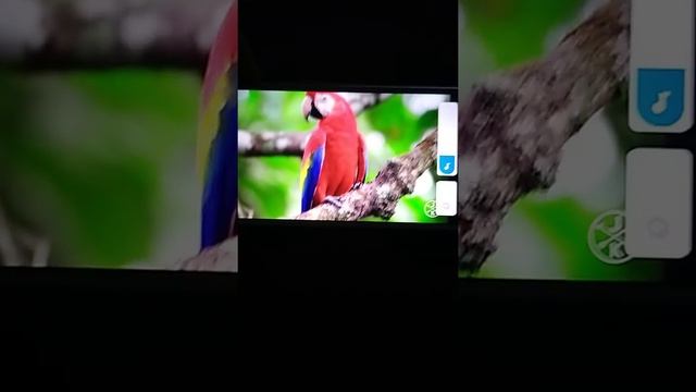 Тест работы официального приложения You Tube на смартфоне Xiaomi Redmi 6A смотреть онлайн