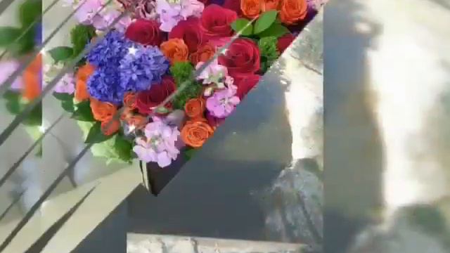 турчи на даргинском смотреть онлайн