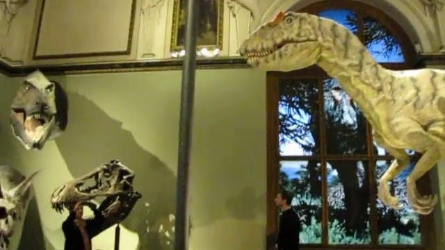 Dinosaur in Naturhistorisches museum, Vienna смотреть онлайн