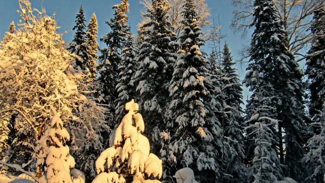 Ernesto Cortazar - «Now and Forever» ,(Сейчас и навсегда) смотреть онлайн