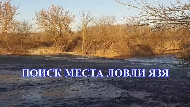 Дед знакомого подробно "ПОВЕДАЛ" рыбакам про эту рыбу!...После его рассказа 90% ловят ТОЛЬКО ЕЁ… смотреть онлайн
