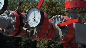 1  Обязанности оператора ДНГ