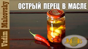 Консервированный острый перец в масле и заправка острое чесночное масло. Мальковский Вадим