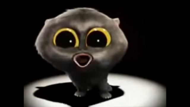 кот читает Кондрашов-диктант смотреть онлайн