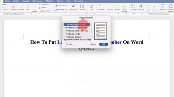 How To Put: Last Name And Page Number On Word (MAC)