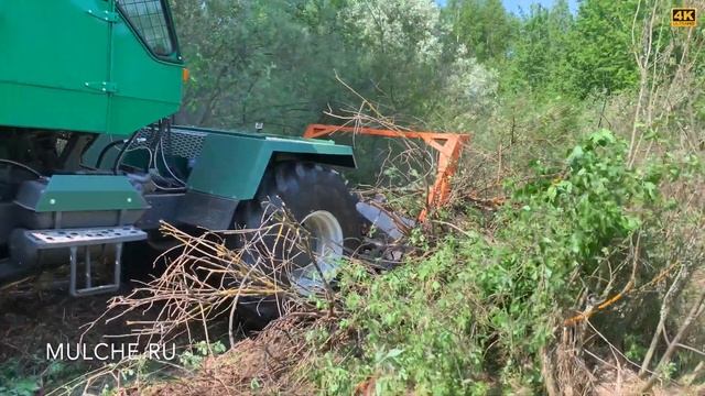 Выпустили зверя в лес смотреть онлайн