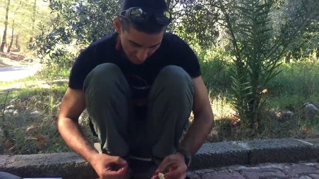 Как делать гранатовый сок в Турции смотреть онлайн