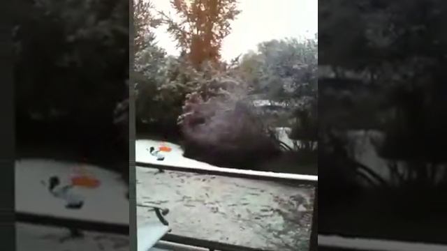 Epic Snoball Fight смотреть онлайн