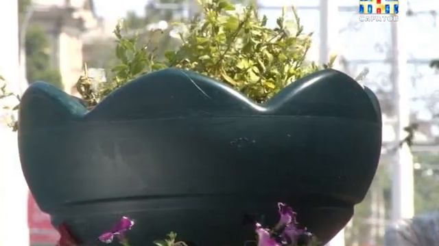 На улице Московская установили около полусотни вазонов с петуниями смотреть онлайн