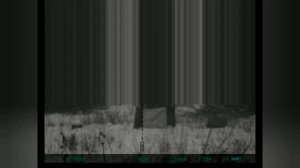 Пристрелка Yukon Sightline n455 4-16