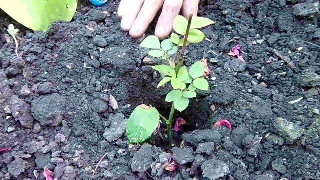 Музыкальная Импровизация