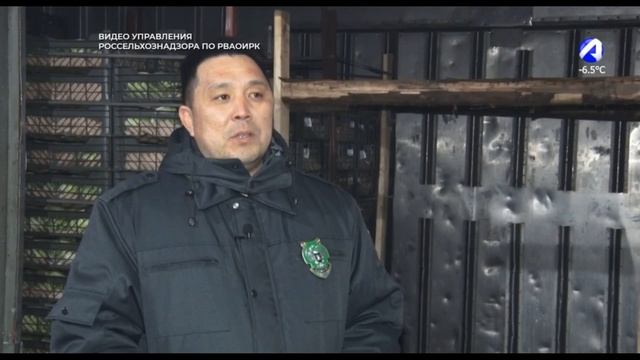 Россельхознадзор проверил крупную партию салата смотреть онлайн