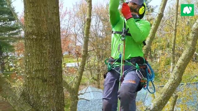 Notch Rope Runner Pro смотреть онлайн