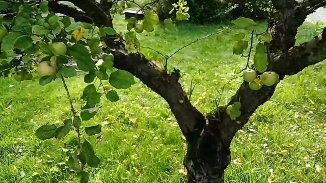 Обзор планшета LENOVO Tab P11 Plus TB-J616X LTE смотреть онлайн