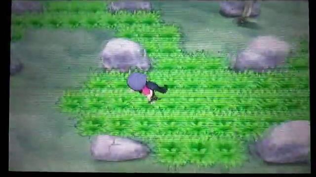 ☆ LIVE! How to chain a Shiny Eevee in Pokemon X and Y! ☆ смотреть онлайн