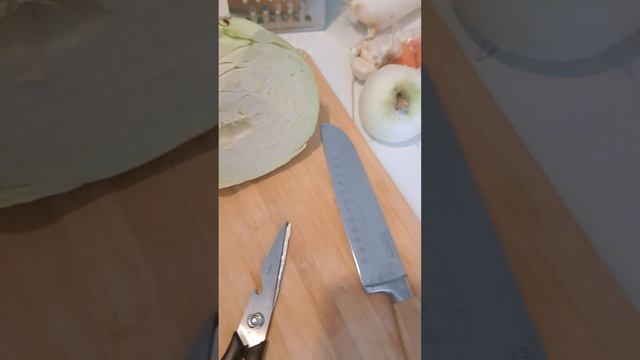 Капустный салат Морковь Редька Лук Горчица Масло растительное, сок лимона ? смотреть онлайн