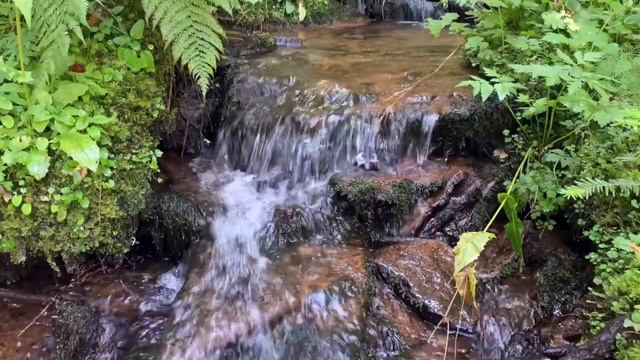 Горный ручей смотреть онлайн